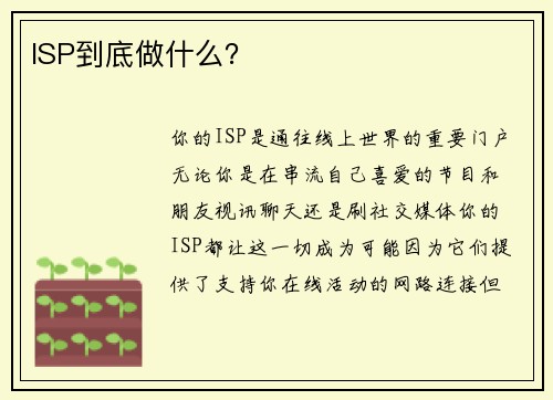 ISP到底做什么？